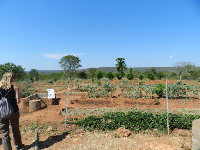Sizinda community garden.