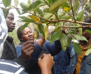 Permaculture as a solution to the small land holding capacity challenge