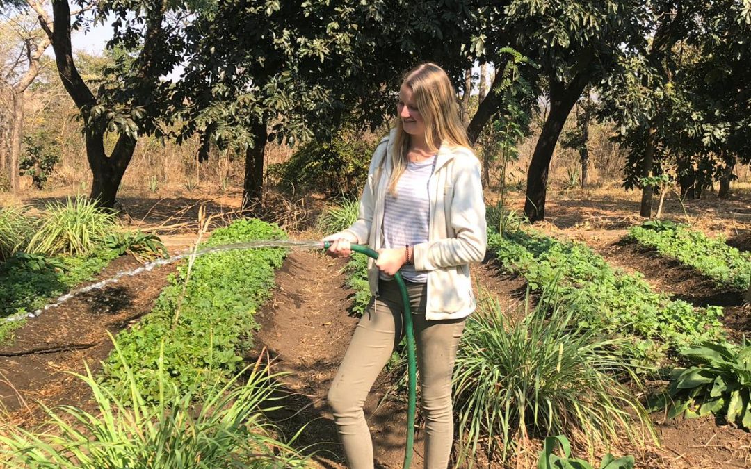 Eleanor Howard: Volunteering experience at Kusamala