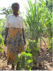 The Kusamala Team Visits Dowa District JANEEMO Site