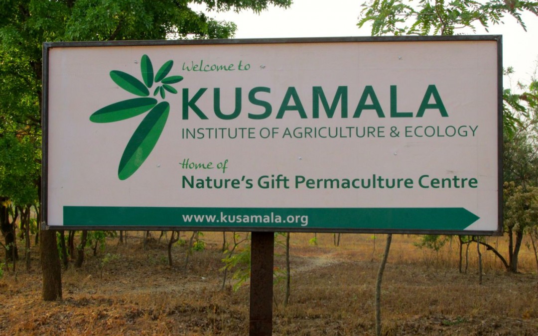 Kusamala Can’t Be Missed