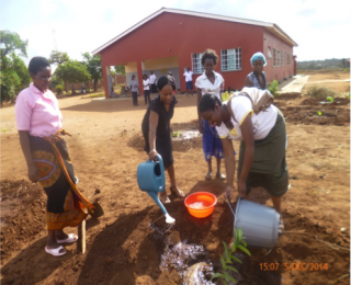 Bringing Permaculture to the Hospital