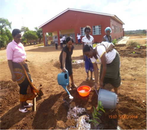 Bringing Permaculture to the Hospital