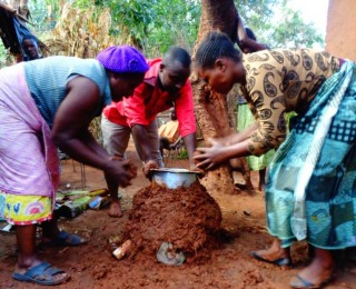 Rocket Stoves and The Red Soil Project Revisted